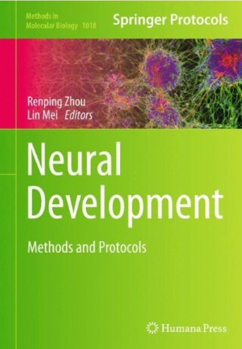 Neural Development: Methods And Protocols