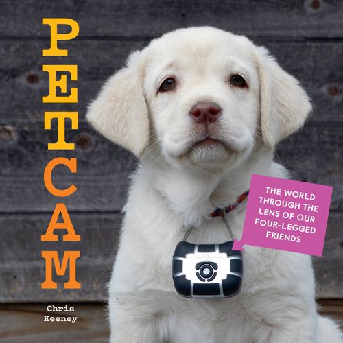 Petcam: The World Through The Lens Of Our Four-Legged Friends