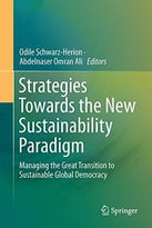 Strategies Towards The New Sustainability Paradigm