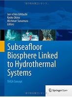 Subseafloor Biosphere Linked To Hydrothermal Systems: Taiga Concept