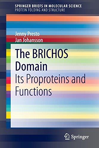 The Brichos Domain