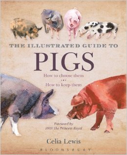 The Illustrated Guide To Pigs: How To Choose Them – How To Keep Them