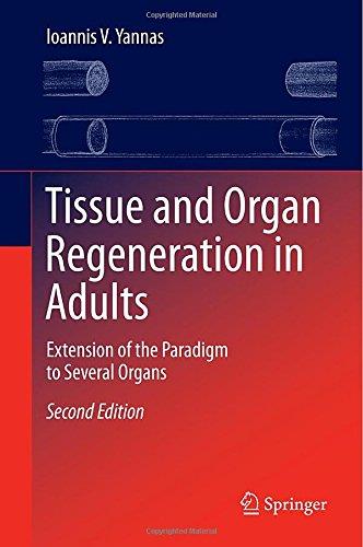 Tissue And Organ Regeneration In Adults: Extension Of The Paradigm To Several Organs (2Nd Edition)