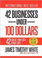 42 Businesses Under 100 Dollars