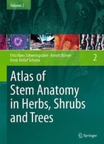 Atlas Of Stem Anatomy In Herbs, Shrubs And Trees: Volume 2