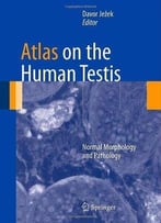 Atlas On The Human Testis: Normal Morphology And Pathology