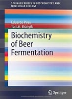 Biochemistry Of Beer Fermentation