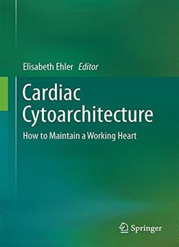 Cardiac Cytoarchitecture: How To Maintain A Working Heart