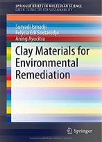 Clay Materials For Environmental Remediation