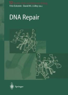 Dna Repair (Nucleic Acids And Molecular Biology)