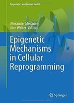 Epigenetic Mechanisms In Cellular Reprogramming