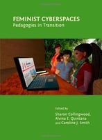 Feminist Cyberspaces: Pedagogies In Transition