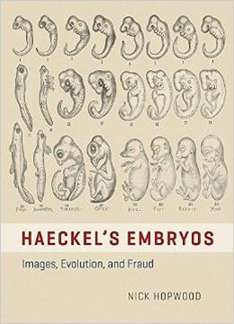 Haeckel’S Embryos: Images, Evolution, And Fraud