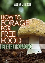 How To Forage For Free Food – Let’S Get Foraging