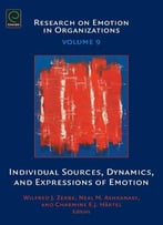 Individual Sources, Dynamics, And Expressions Of Emotion (Research On Emotion In Organizations)