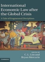 International Economic Law After The Global Crisis: A Tale Of Fragmented Disciplines