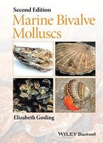 Marine Bivalve Molluscs