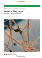 Natural Polymers, Volume 2: Nanocomposites