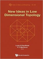 New Ideas In Low Dimensional Topology