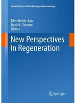 New Perspectives In Regeneration