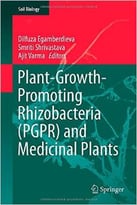 Plant-Growth-Promoting Rhizobacteria (Pgpr) And Medicinal Plants (Soil Biology, Book 42)