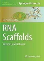Rna Scaffolds: Methods And Protocols