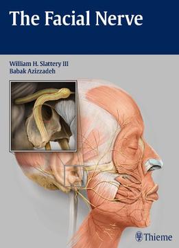 The Facial Nerve