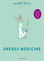 The Little Book Of Energy Medicine: The Essential Guide To Balancing Your Body’S Energies