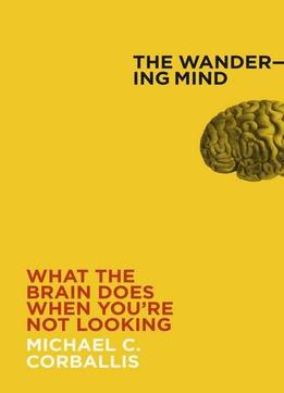 The Wandering Mind: What The Brain Does When You’Re Not Looking