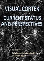 Visual Cortex: Current Status And Perspectives Ed. By Stéphane Molotchnikoff And Jean Rouat