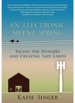 An Electronic Silent Spring: Facing The Dangers And Creating Safe Limits