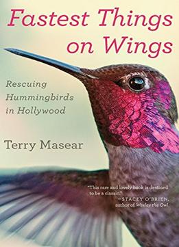 Fastest Things On Wings: Rescuing Hummingbirds In Hollywood