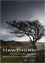 Hawthorn: The Tree That Has Nourished, Healed, And Inspired Through The Ages