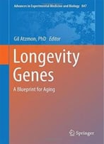 Longevity Genes: A Blueprint For Aging