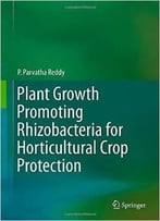 Plant Growth Promoting Rhizobacteria For Horticultural Crop Protection