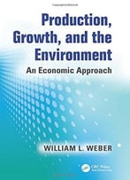 Production, Growth, And The Environment: An Economic Approach