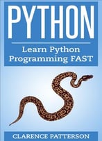 Python: Learn The Basics Fast From Python Programming Experts