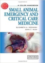 Small Animal Emergency And Critical Care Medicine: A Color Handbook, 2 Edition