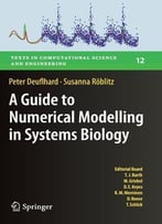 A Guide To Numerical Modelling In Systems Biology