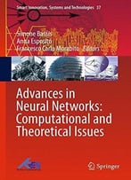 Advances In Neural Networks: Computational And Theoretical Issues