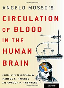 Angelo Mosso’S Circulation Of Blood In The Human Brain