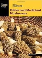 Basic Illustrated Edible And Medicinal Mushrooms