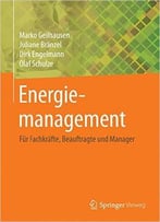Energiemanagement: Für Fachkräfte, Beauftragte Und Manager
