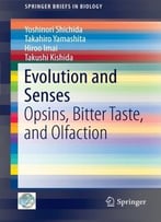 Evolution And Senses: Opsins, Bitter Taste, And Olfaction (Springerbriefs In Biology)