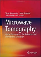Microwave Tomography: Global Optimization, Parallelization And Performance Evaluation