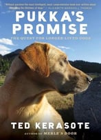 Pukka’S Promise: The Quest For Longer-Lived Dogs