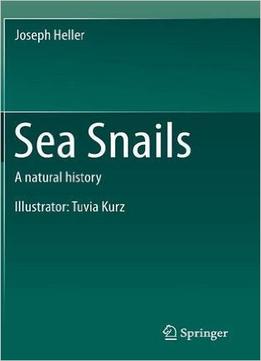 Sea Snails: A Natural History