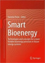 Smart Bioenergy: Technologies And Concepts For A More Flexible Bioenergy Provision In Future Energy Systems
