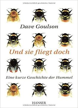Und Sie Fliegt Doch: Eine Kurze Geschichte Der Hummel