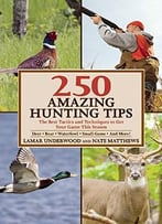 250 Amazing Hunting Tips: The Best Tactics And Techniques To Get Your Game This Season